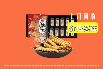 措勤县回收冬虫夏草